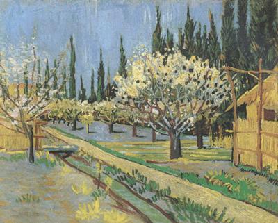 Vincent Van Gogh Orchard in Blossom,Bordered by Cypresses (nn04) oil painting picture